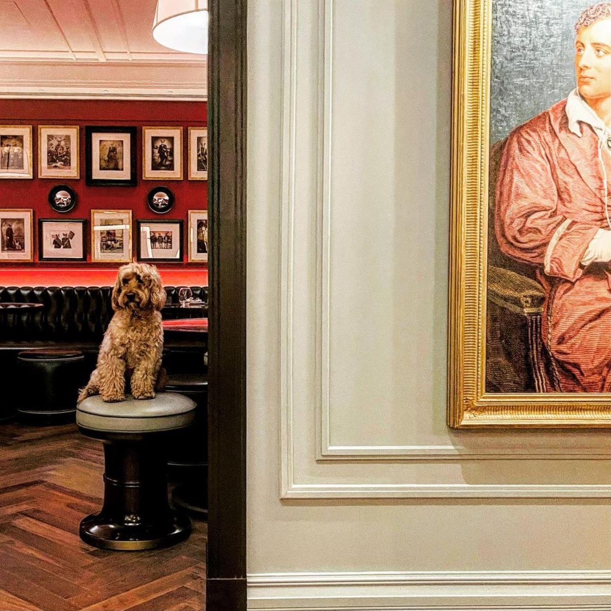 Psst... did you know that The Townhouse is dog friendly?

VIPs (very important pooches) are more than welcome to accompany their well-behaved humans when staying over. 

📸 IG: missdarcysadventures 

#london #dogfriendly #hotel #mayfair