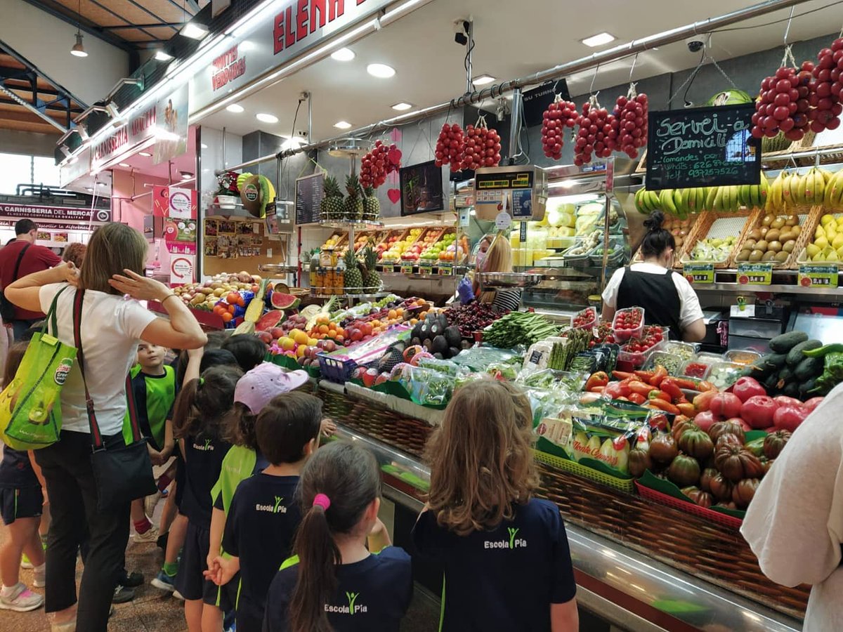 epiasabadell's tweet photo. Ahir les nenes i nens de P4 vam anar a comprar nespres a les pageses, a una fruiteria del mercat i al supermercat. Vam poder comparar els recorreguts que fan les nespres des de l'arbre fins que arriben a casa nostra.
#P4PIASABADELL
#SUMMEMPIASABADELL https://t.co/vcmOMIS28h