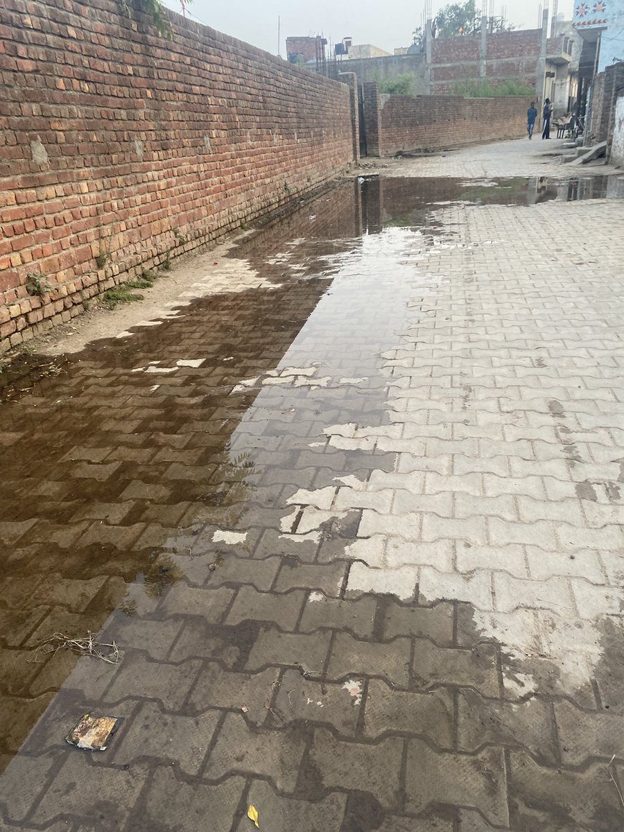 Erbordaa's tweet photo. @cmohry खंड सडोरा जिला यमुनानगर गलियों में नालियों का पानी इतने दिन से खड़ा है कि यहाँ घास उग चुकी है लेकिन कोई ध्यान नहीं दे रहा! https://t.co/szpuyiJbOC