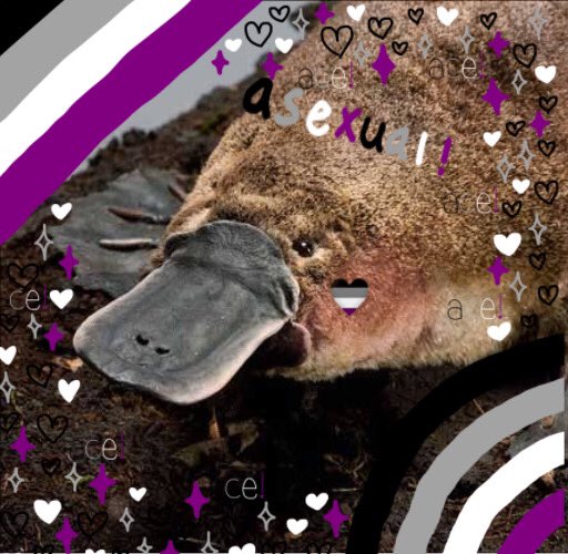 Yu D. Xebec《namorado Dela》☭🇰🇵 tweet media