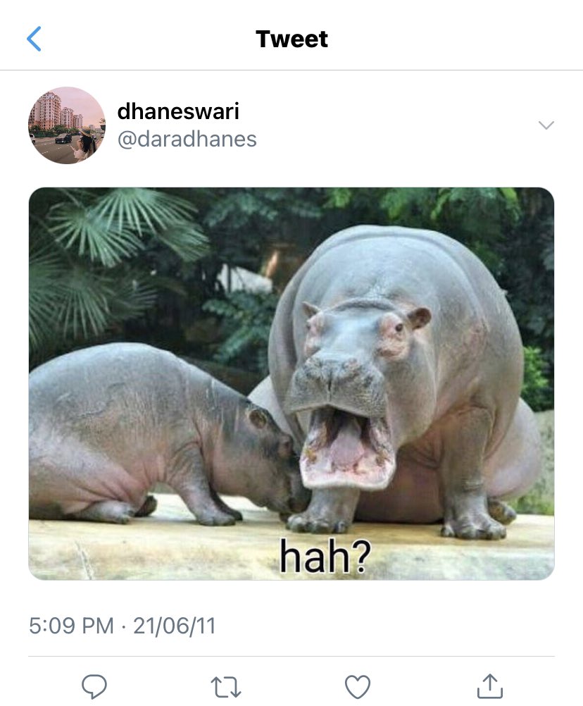 seokjinjuseyyo's tweet photo. 189. leasing adira https://t.co/nQ4oV7asu2