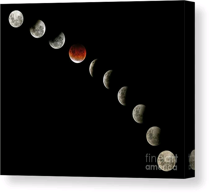 #Total# Lunar #Eclipse #Blood #Moon #Sydney #26May2021 by Kaye Menner #Canvas #Print / Canvas Art by Kaye Menner buff.ly/3whbItV