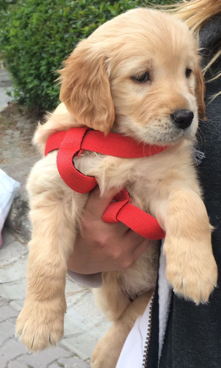 Güzel kızım. Hoşgeldin.