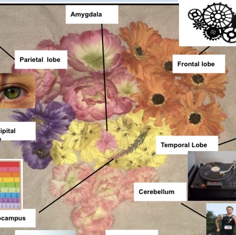 Alexandra Rudak tweet media