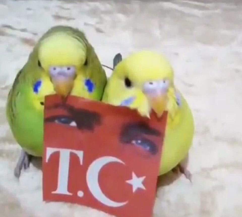 #BizimÇocuklar #TUR