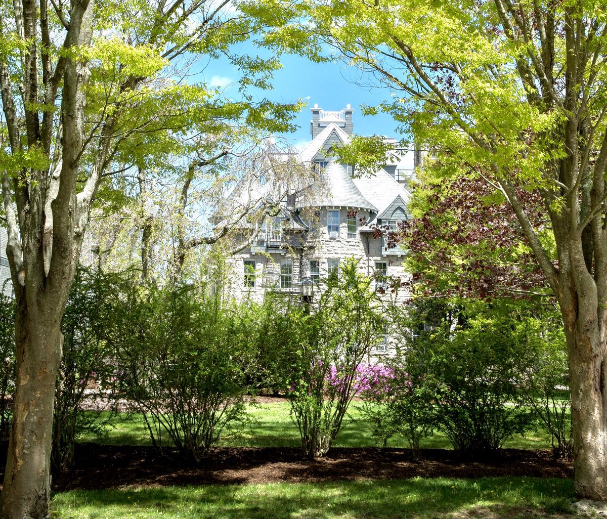 It’s summertime in Kingston! ☀️🐏