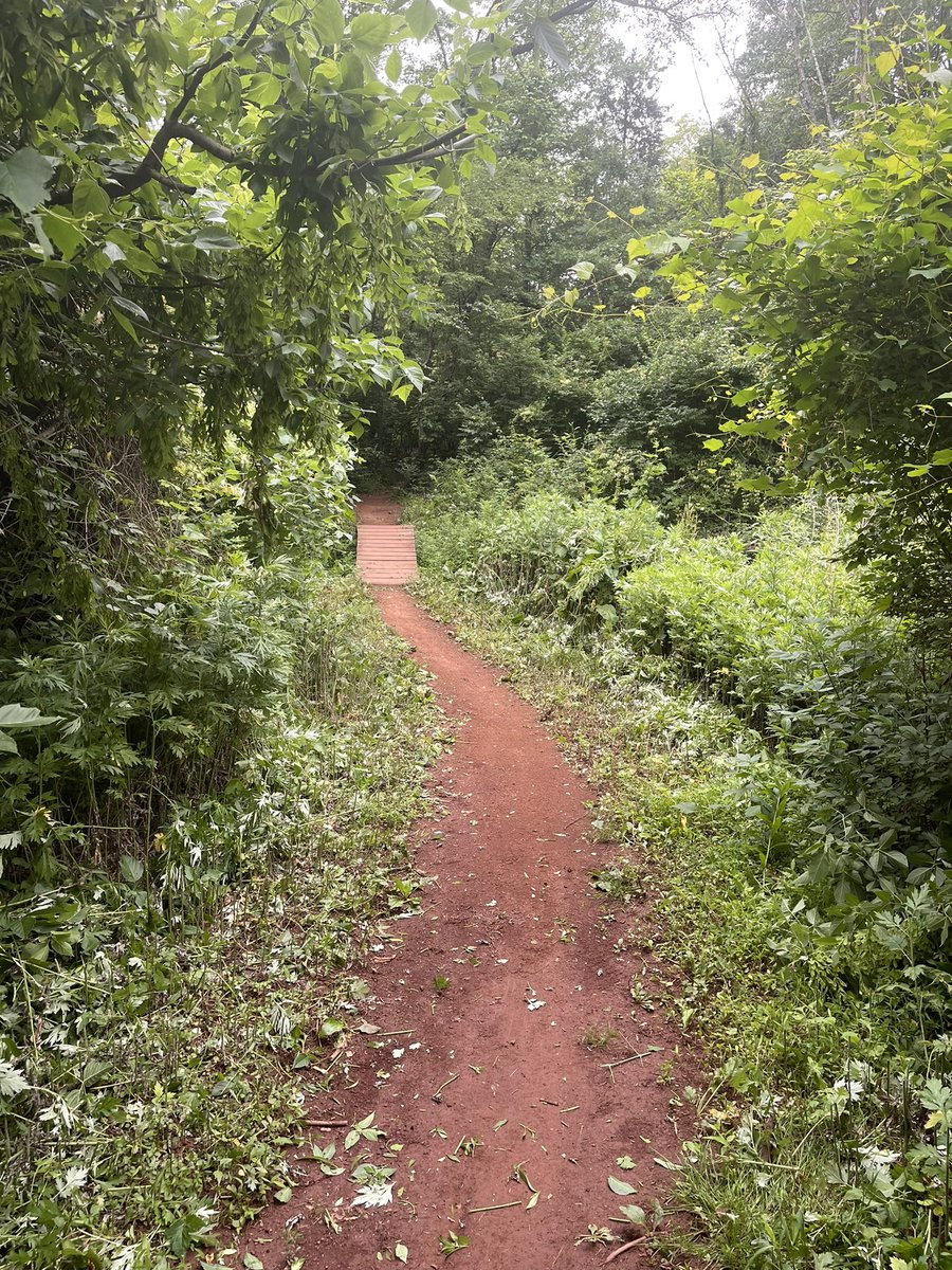 JORBAorg's tweet image. We’ve been out a Six Mile Run lately cutting back all that overgrowth (and poison ivy). Canal side is almost taken care of. Wouldn’t mind some volunteers for the 27 side.