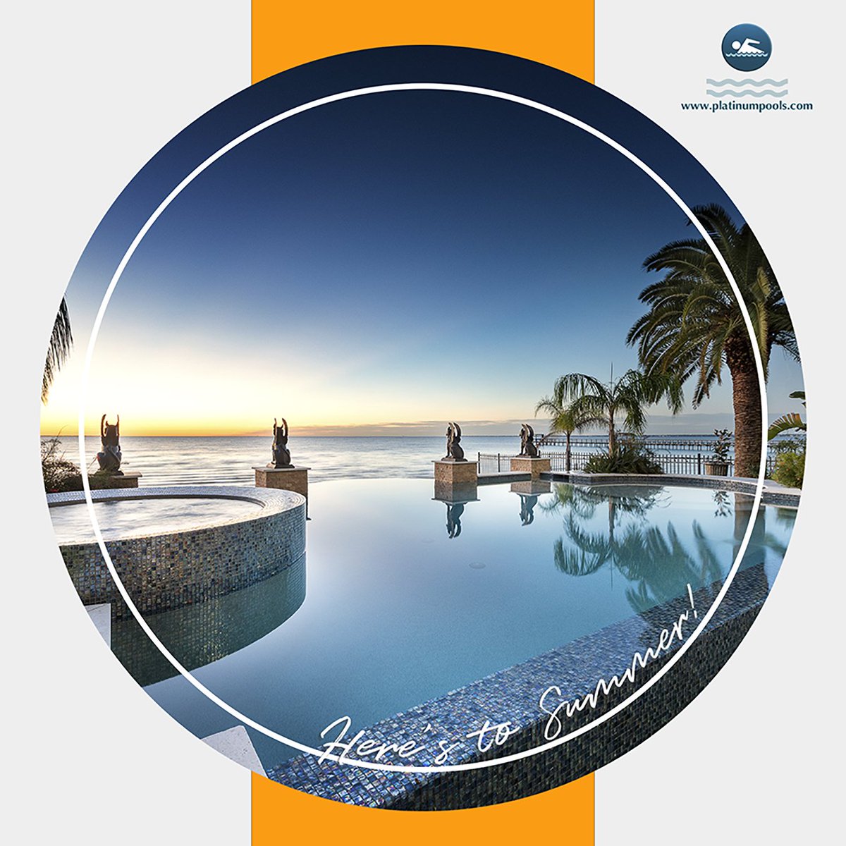 Platinum Pools Platinumpools Twitter