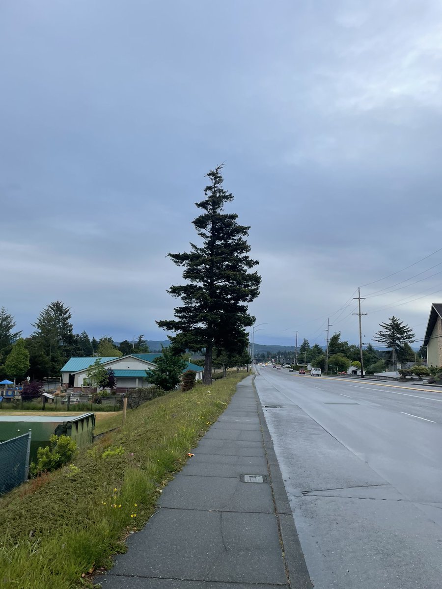 CoachHop's tweet photo. ☁️🏃🏼♂️ #fridaymorningrun #AnotherOne #TGIF #breathe #Smile #endoftheterm 😀 https://t.co/KPPX0zFhPo