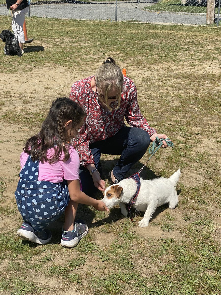 Rolling into the weekend with fur babies! <a href="/Frps_Tansey/">James Tansey School</a> <a href="/taylorcpacheco/">Taylor Santos</a> #tanseytigers