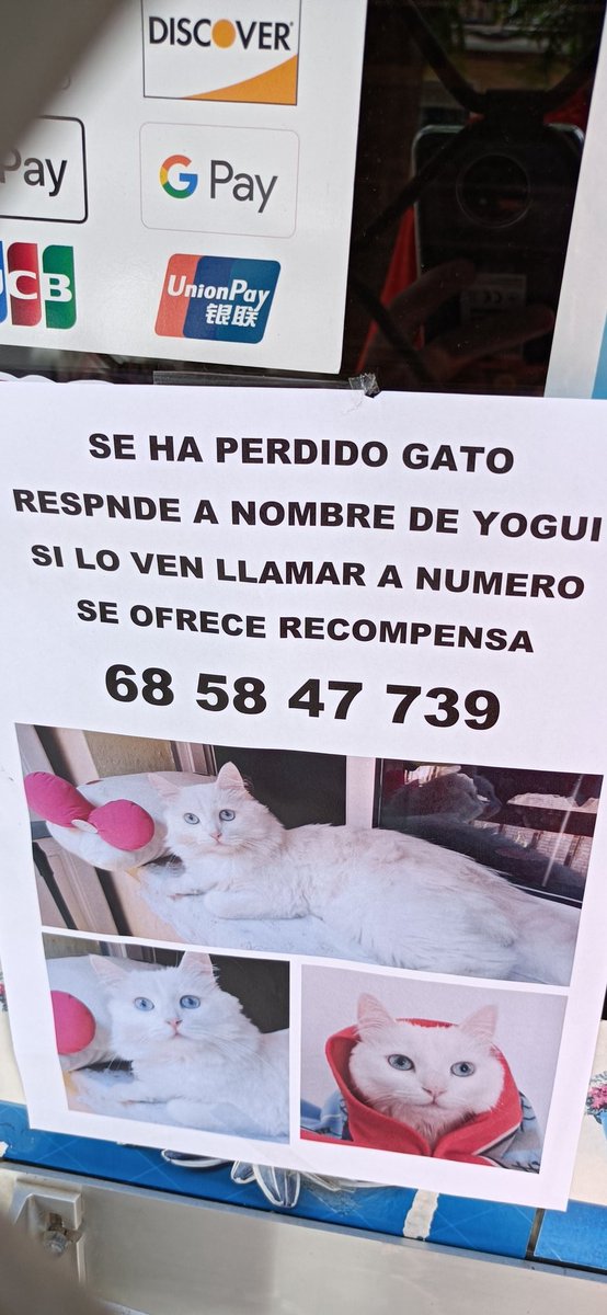 Ikrus's tweet photo. En Córdoba https://t.co/hFNl6D2BUm