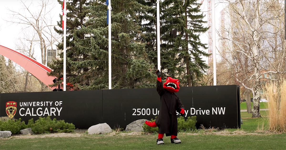 U Calgary tweet media