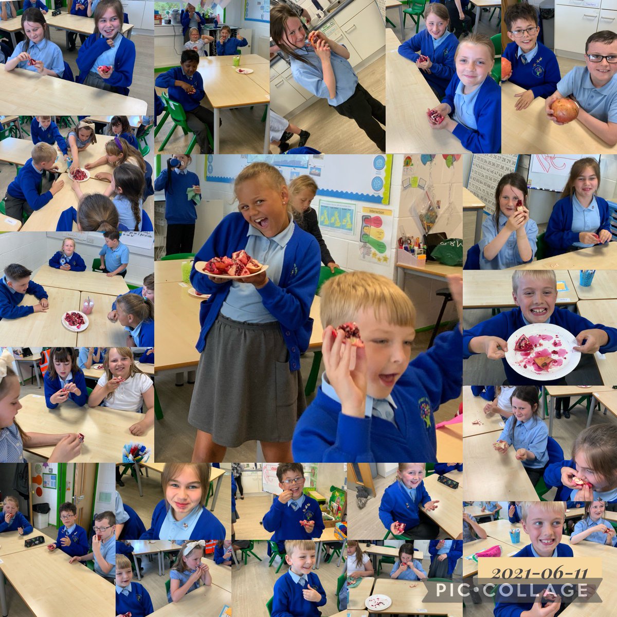 Fruity Friday’s resumed with… pomegranate! We apologise for any stains caused… <a href="/misslaw_lsa/">MissLaw_LSA</a> was splattered as she cut in to them and so were the walls! But we enjoyed the juicy seeds and some of us ‘hit the jackpot’ with large chunks! <a href="/RBorsley/">Rhianna Borsley</a> <a href="/laytoncooks/">Layton Cooking Club</a> <a href="/Layton_Y4/">Year 4 Layton Primary School</a>