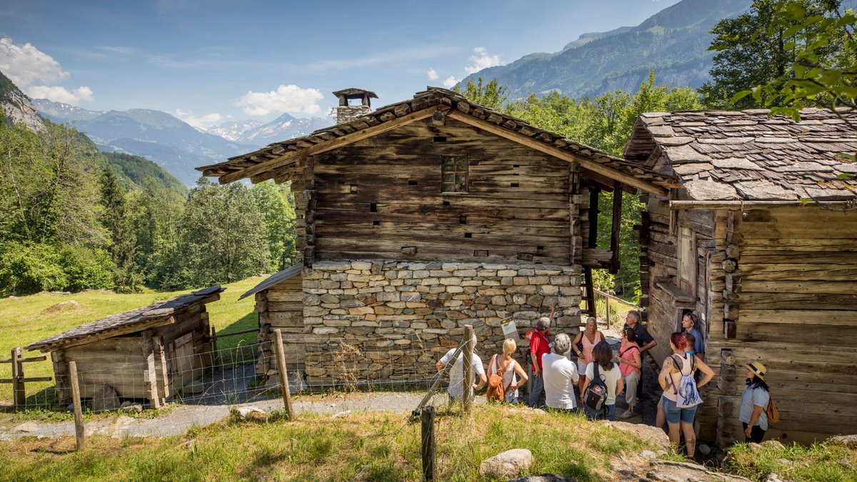 Endlich wieder mit dem Team unterwegs sein. Verbringen Sie einen ganzen Tag im Freilichtmuseum Ballenberg, inkl. Themenführung, Gruppenspielen, Spass und genügend Zeit das Museum auf eigene Faust zu erkunden. 
#rahmenprogramm #firmenanlass #teamevent
rahmenprogramme.info/rahmenprogramm…