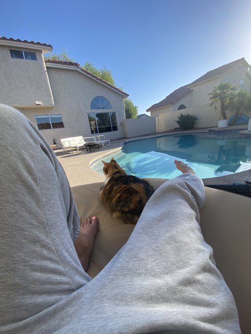 Good morning 🌞 https://t.co/F3IOrvutK6<a href="/tag/mvsales"class="tags"><span>#mvsales</span></a>