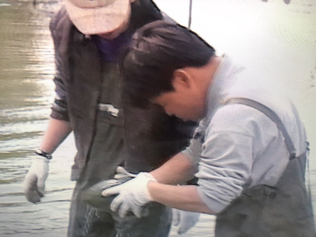 6月11日 探偵 ナイトスクープで 林先生 が話題に トレンドアットtv