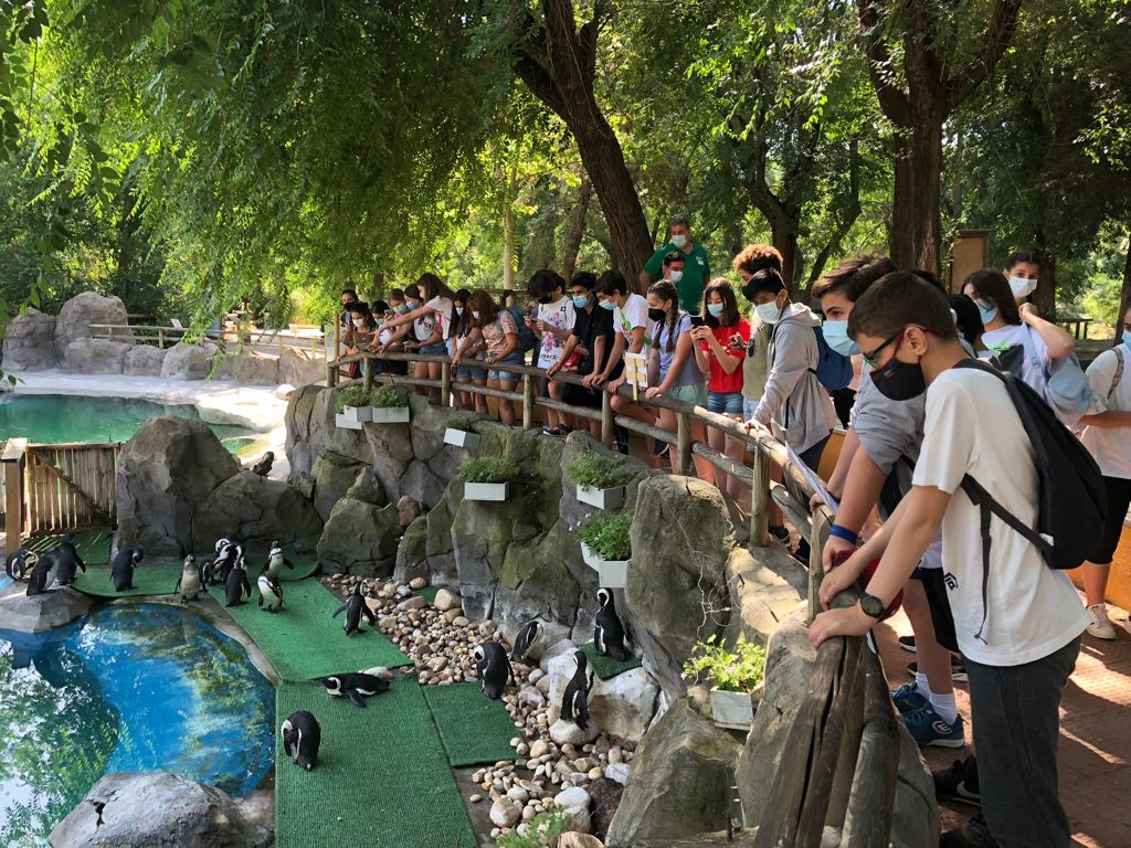 IesGerardoDiego's tweet photo. Zoo con alumnos de 1ACE, día fantástico con los animales del zoo. 
El lunes más con 1BD. https://t.co/SPoylncxmO