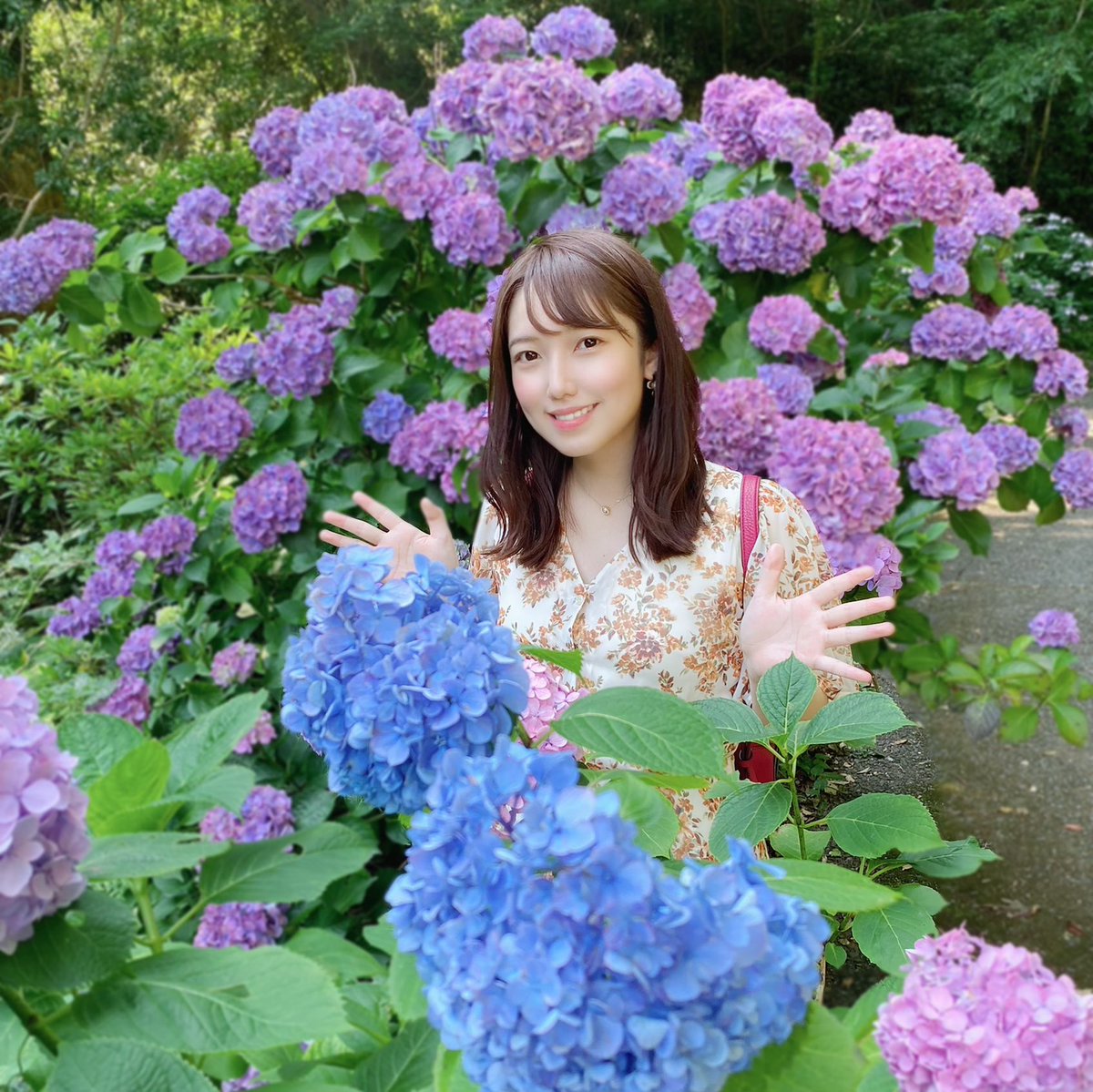 久保 沙里菜 仏像好きアナウンサー 下田あじさい祭 下田公園を埋め尽くす15万株300万輪のあじさいが見頃でした 紫陽花を撮ろうと思ったらちょうど蝶がとまって嬉しくなりました 2枚目 紫陽花