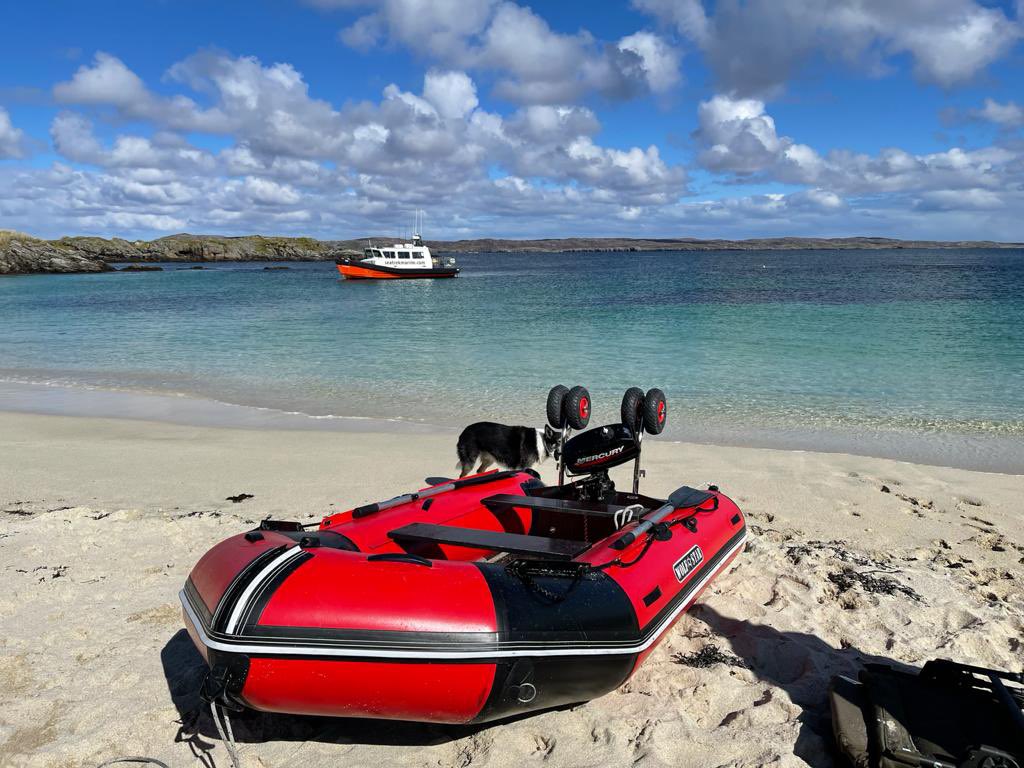 SpecialistSmallCraft tweet media