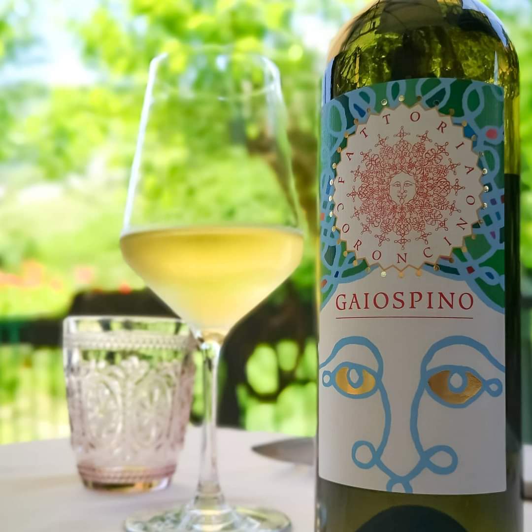 Turbo8161's tweet photo. il ✨GAIOSPINO✨ il segno lo mette davvero. È il Motto della sua azienda produttrice #fattoriacoroncino. Un Verdicchio dei Castelli di Jesi dal colore dorato ben definito, naso ampio e generoso, al palato pieno e ricco, con una freschezza che permane a lungo per non dimenticare https://t.co/NCq1Wav4TR