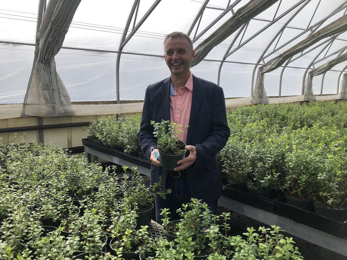 FAL_GovNL's tweet photo. Minister Derrick Bragg toured the Centre for Agriculture & Forestry Development in Wooddale today. From partridgeberries & spruce seedlings to veggie transplants & potatoes started in test tubes, good things are growing for #NLAgriculture & #NLForestry. #GovNL https://t.co/q2DdHJmJcz