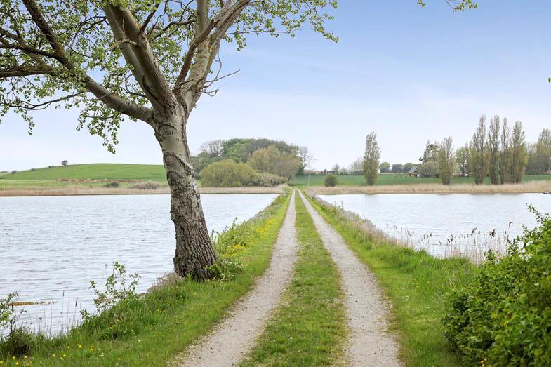 小島の島主になれる！？1億8千万円でデンマークの小島が丸ごと買える！