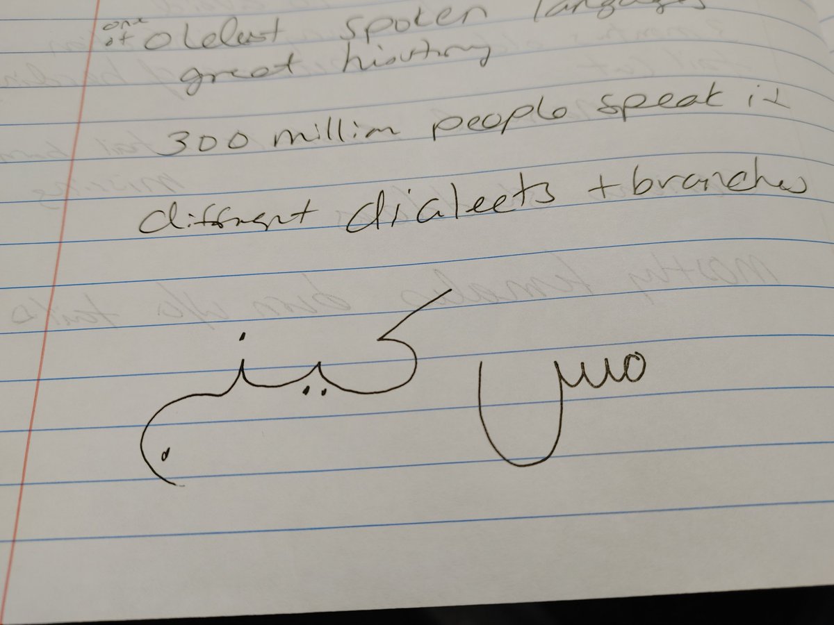 MsKinghasClass's tweet image. This will always be my favorite project! I learned how to write my name in Arabic, the meanings of different flowers, a new video game recommendation, all about Venezuela, and so much more. These kids will always have a special place in my heart! #teachmsking