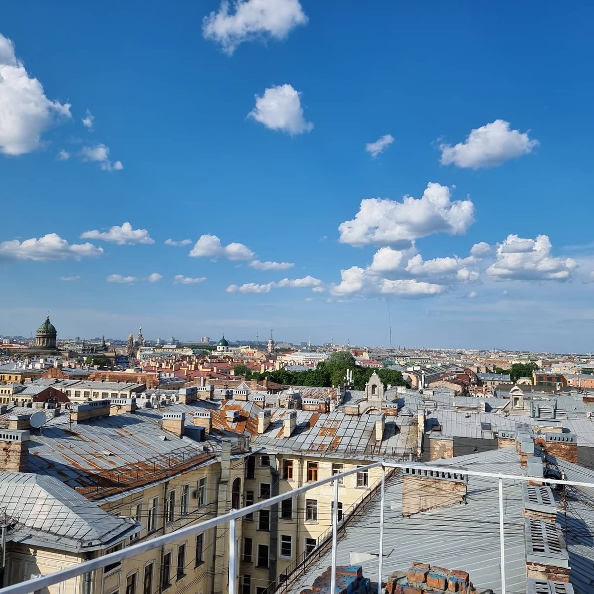 ChuloJose3's tweet image. Ля красиво как капееец
#красота #садовая #дед #залипон #ввсоко