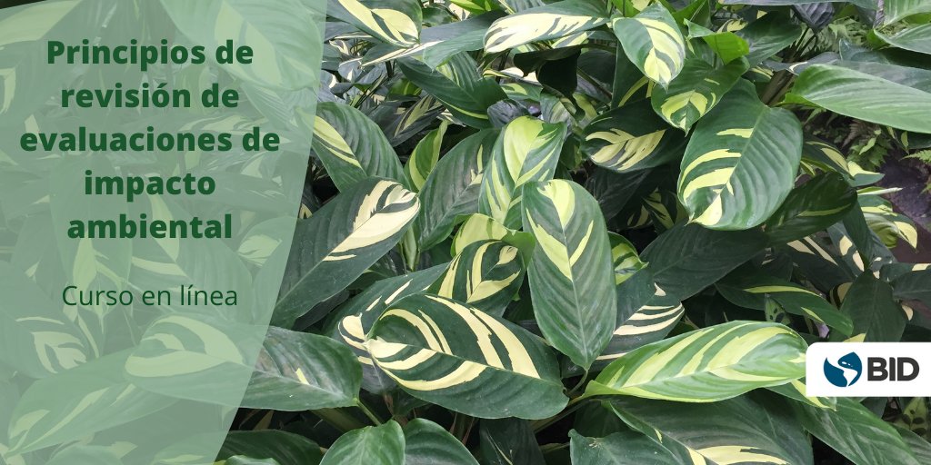 tomasber's tweet photo. ¿Quieres conocer más acerca de cómo preparar una evaluación de impacto ambiental? 
Únete a nuestro curso en línea dirigido a profesionales que trabajan en temas de protección y gestión ambiental, ciencias sociales o naturales, gestión pública ✅ https://t.co/Pwi6KGwuWJ https://t.co/0OWwgBgh6O