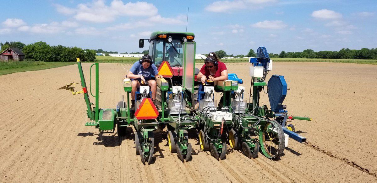 Intense concentration and fast hands to get our SCN hill plots in at Harrow. We'll dig these in 28 to 35 days with our tree digger machine. #drybeans