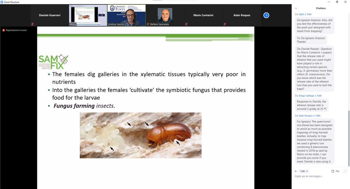 LifeSamfix's tweet image. Yesterday at the XXVI National Conference of Italian Entomologists (CNIE), held in remote mode, the various partners of the Life #SAMFIX project presented the objectives of the project and the results obtained so far. #CNiE2021Torino 
#entomology @LIFEprogramme @Parco_Circeo