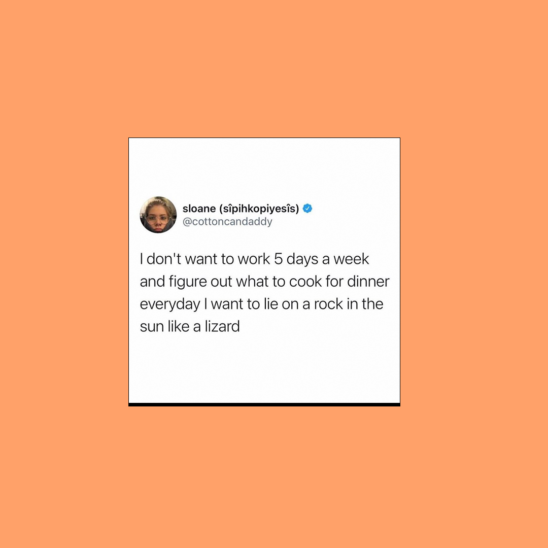 eatfiid's tweet image. The struggle is real 😅