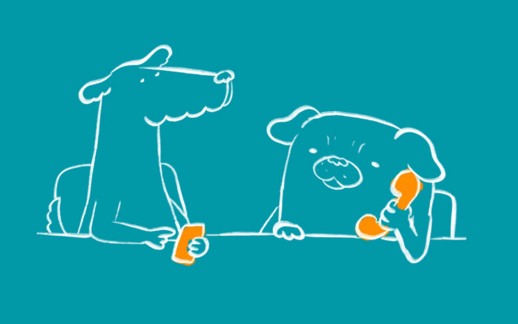 systemscouk's tweet image. #dogandbonephone with our new product range and pricing. Get a phone system and teams in one simple app!