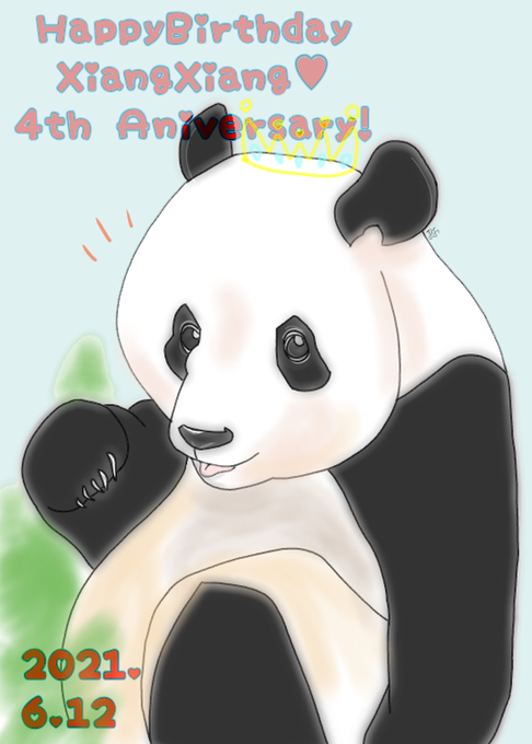 シャンシャンおめでとうのtwitterイラスト検索結果 シャンシャンおめでとうのtwitterイラスト検索結果