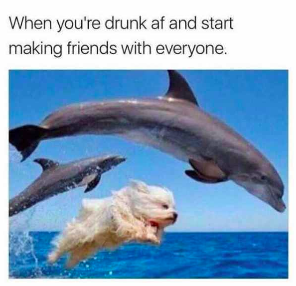 1BigNightOut's tweet photo. Tag your mate that always disappears through the night to go on an adventure😂

Our Pub Crawl will have you making new friends all night👏⬇️

Mon 21/6- https://t.co/m8bxW86OS6
Thur 24/6- https://t.co/x17QPYZrbs
Fri 25/6- https://t.co/Ssow9h1Nex
Sat 26/6- https://t.co/ItFIEqeTDC https://t.co/6WD5e6sAhY