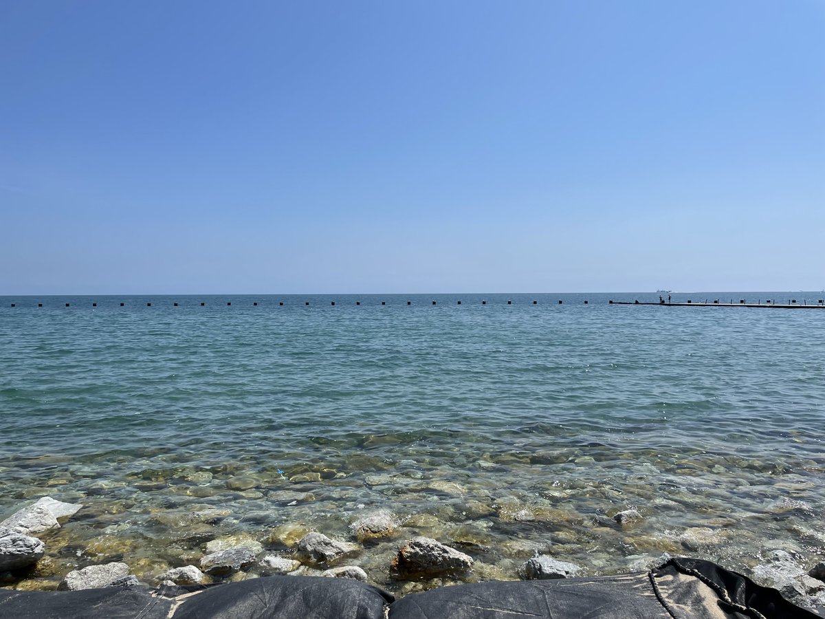 tgranz's tweet image. Walked with @WalkForPtSafety along #chicagolakefront yesterday. In 20+ yrs playing, running, biking the lake, I&apos;ve never seen it this clean! #NeverForget those 1M+ harmed by #mederror or #physicians in need of #careforcaregiver #JackGentry @HBODocs #BurrowsofHollywood