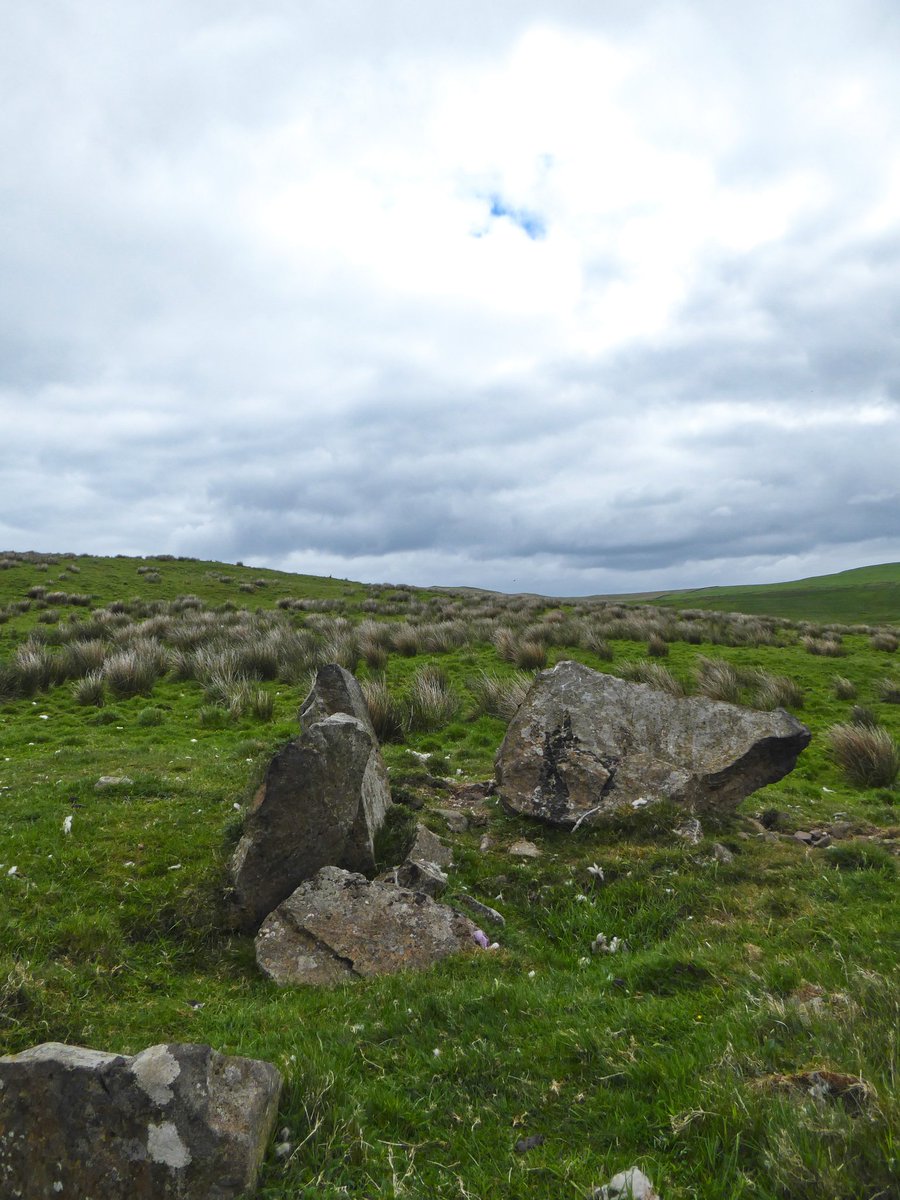 The remains of a court tomb at Dunteige, Co Antrim (NISMR ANT035:030). The burial chamber and court are aligned towards the ENE and the summit of Scawt Hill on the skyline. #LandscapeArchaeology