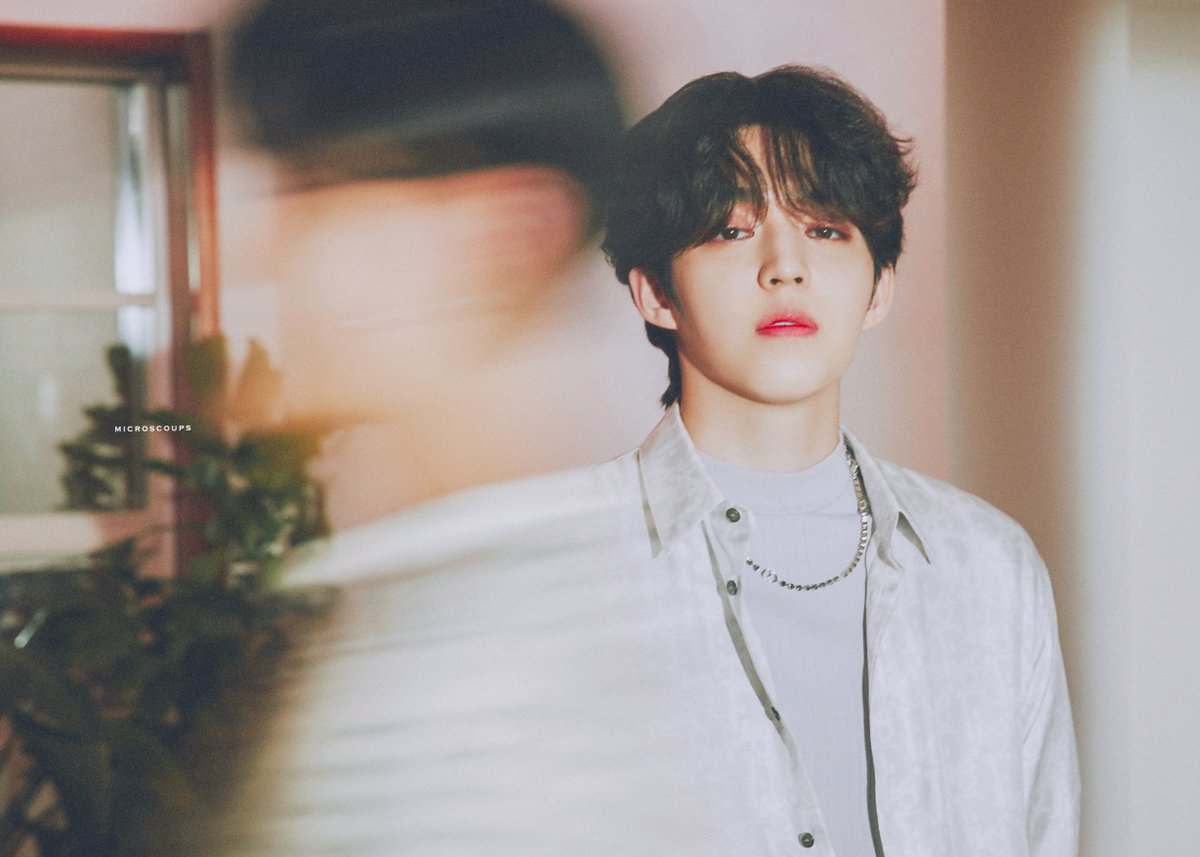 microscoups88's tweet photo. 210611 ‘Your Choice’ Official Photo Beside ver.
#Ready_to_love #SVT_Ready_to_love 

#세븐틴 #SEVENTEEN
#에스쿱스 #SCOUPS  
@pledis_17 https://t.co/vXmtVOGbSq