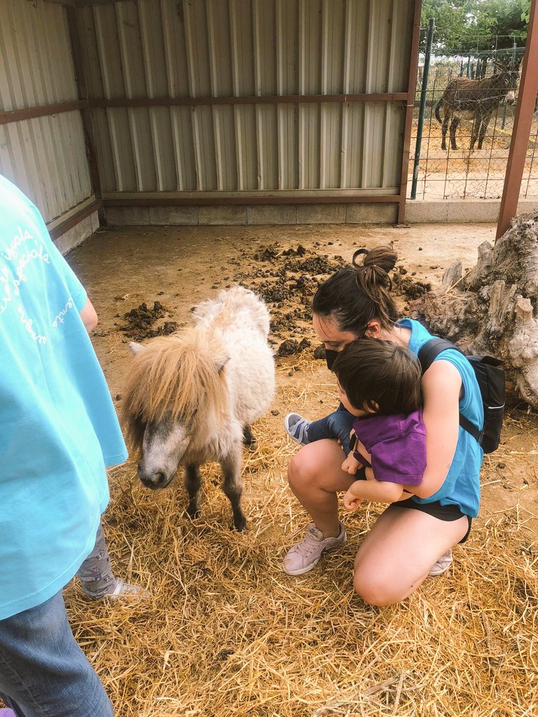 Arriba el bon temps i per fi tot es va ficant al lloc🌈Poc a poc anem gaudint de tot allò que ens aporten els dies... d'excursió! Gràcies a l'AMPA per la vostra col•laboració 🥰 i al personal incansable que fa que aquests dies ja formen part dels records dels nostres xiquets-es.