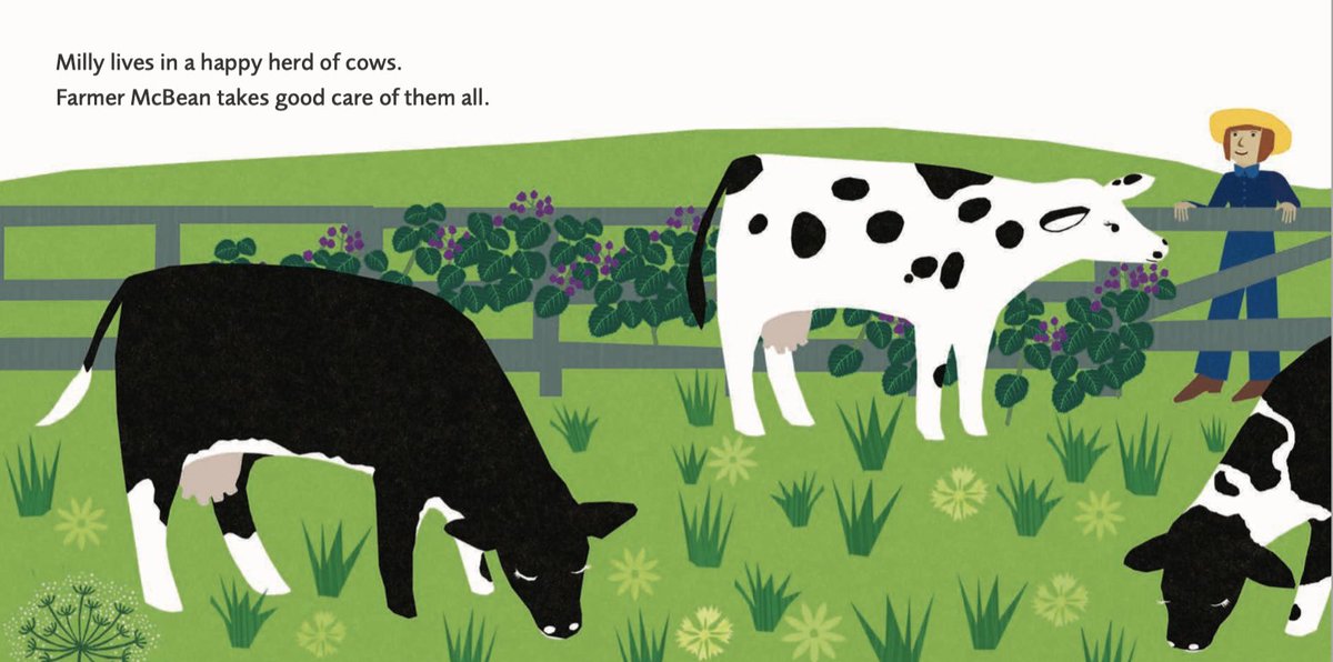 Scallywagpress's tweet photo. https://t.co/jyFXYYj4q7
'A perfect introduction to how milk is produced…There is rich vocabulary: herd, parlour, dusk, bulge, guzzles and scrumptious. A word quiz and milk facts...' #MillyCowGivesMilk #teamdairy #FollowMyFood #farminglife https://t.co/Cd54UBklK0