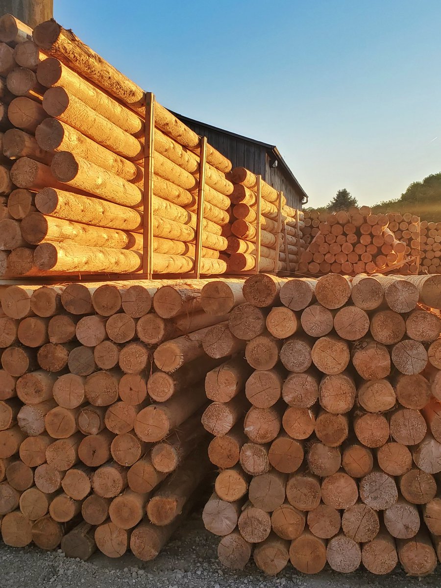 InLineFence's tweet image. The smell of fresh wood 💚 Coming to a farm near you! 

Our wood board fences give your farm an eye-popping aesthetic upgrade, and are made of sturdy wood that will keep your property safe and secure for years to come. Give us a call to get yours! in-linefence.ca