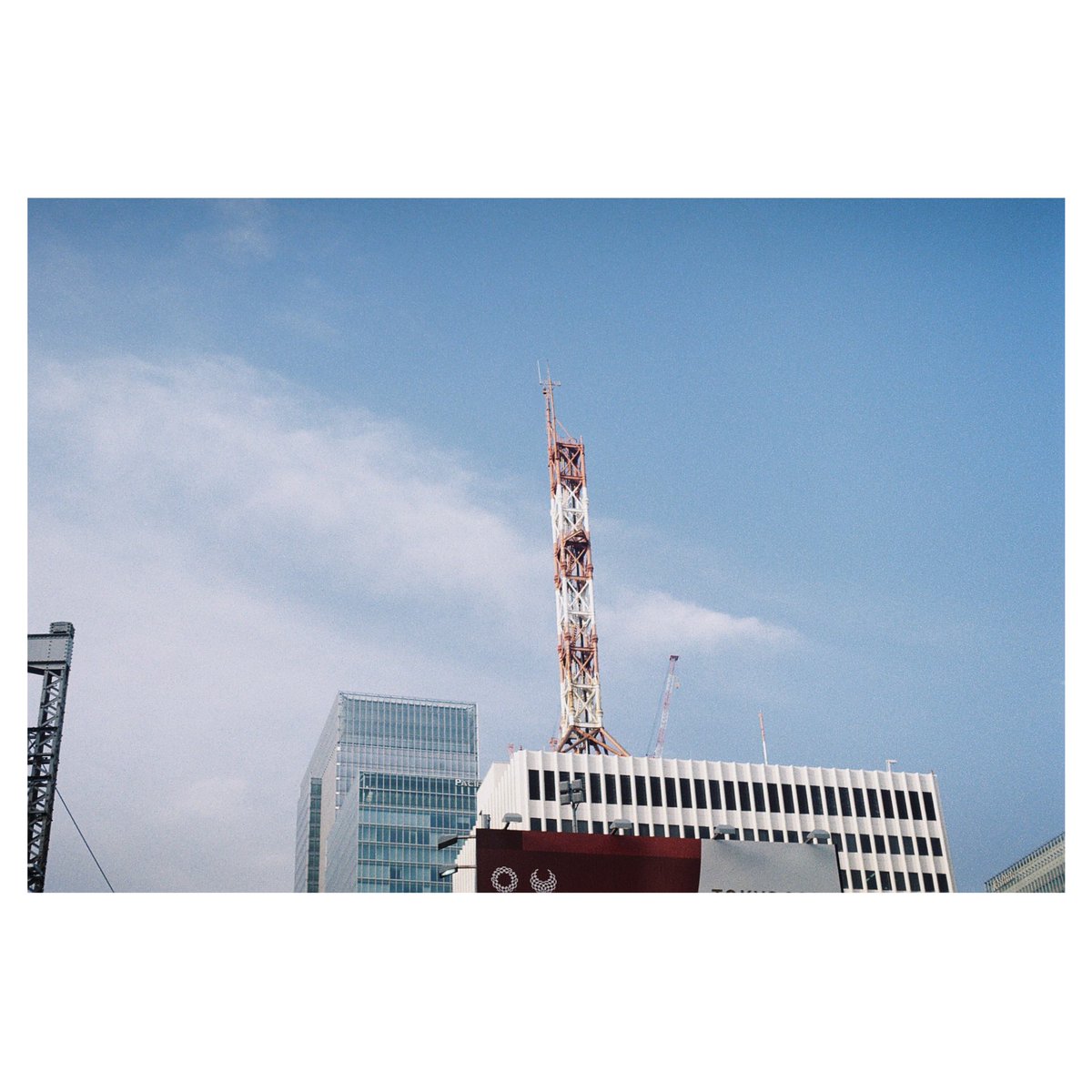 Rinco Koyama / 写真家兼占い師 tweet media