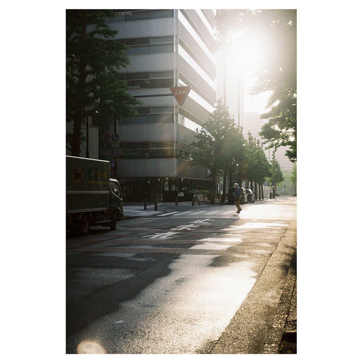 Rinco Koyama / 写真家兼占い師 tweet media