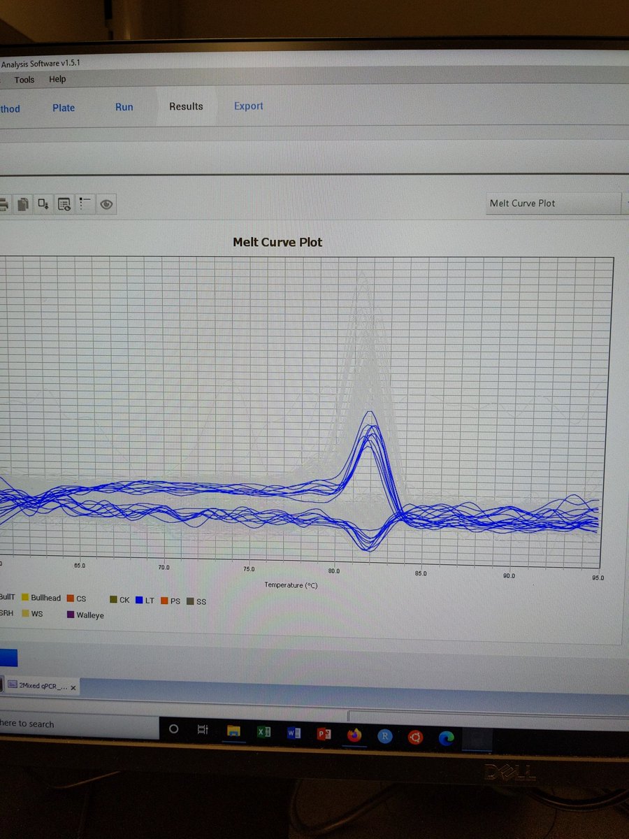 qPCR friends- help needed! 

Have you ever seen melt curves with almost two inverse peaks? Something new I've come across and haven't found many resources... Thanks in advance!