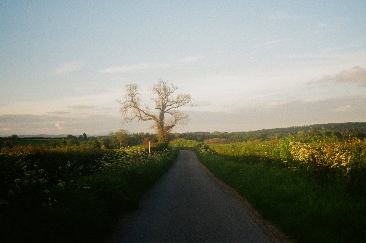 lucyfoto's tweet image. Everyday life in Scottish suburbs #kodakgold