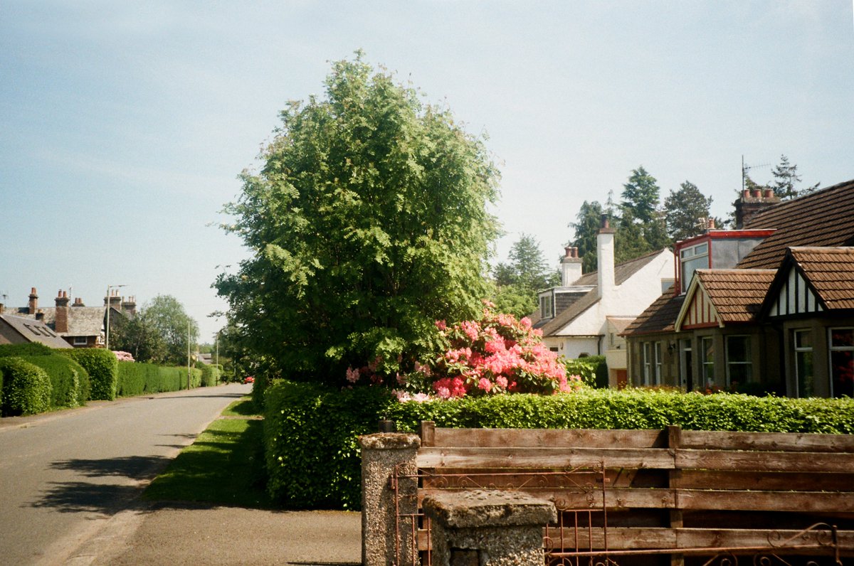 lucyfoto's tweet image. Everyday life in Scottish suburbs #kodakgold