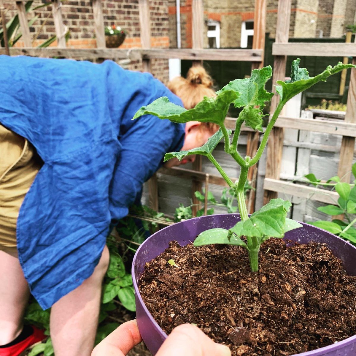 Jessie Grimes tweet media