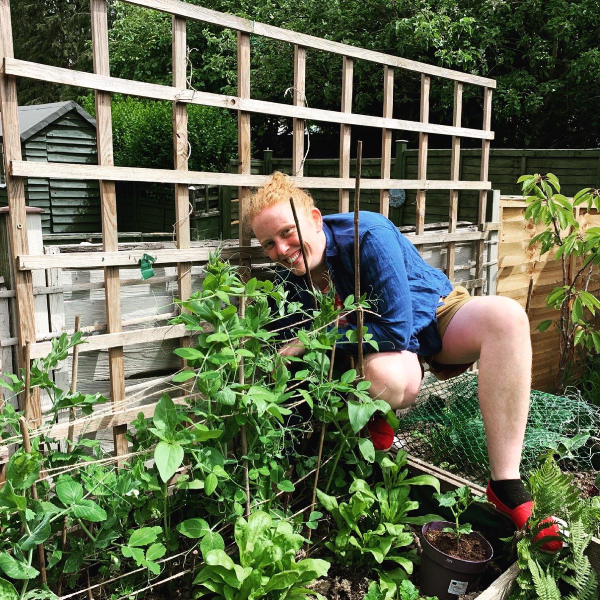 Jessie Grimes tweet media