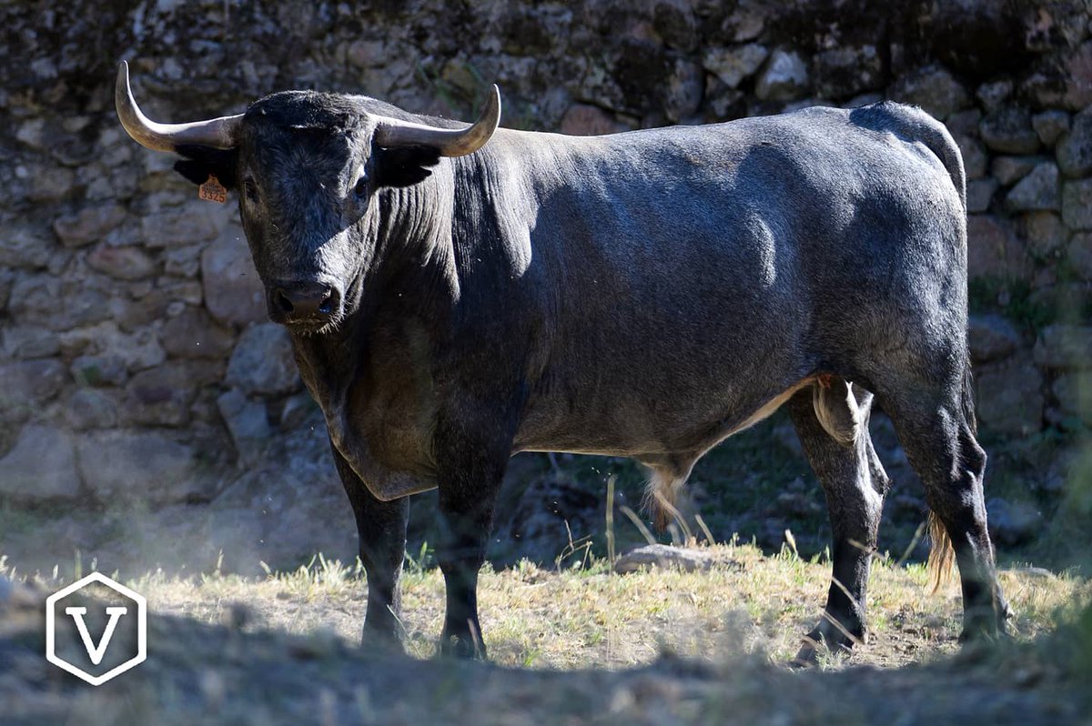 CASTELLÓN 2021 I 24JUNIO

#adolfomartin #castellon #2021