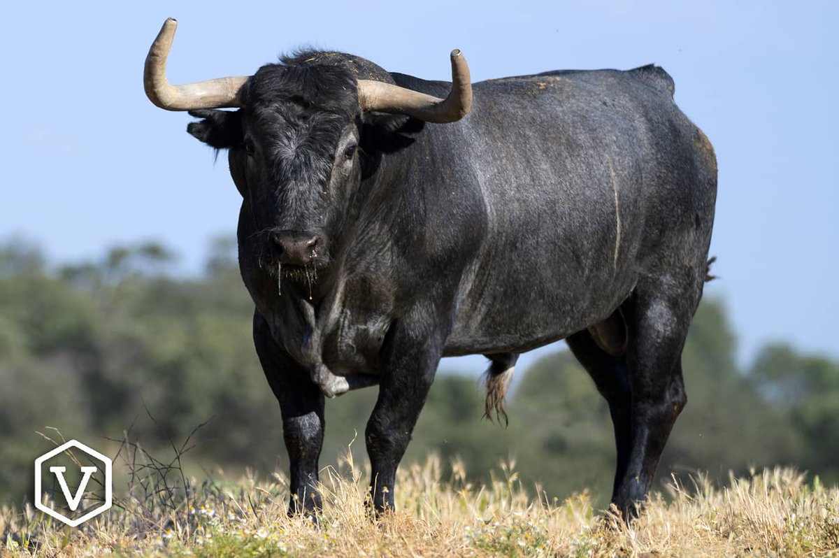 CASTELLÓN 2021 I 24JUNIO

#adolfomartin #castellon #2021